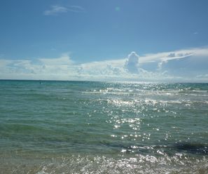 Miami2010 (1)