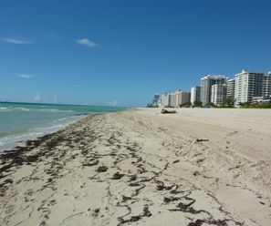 Miami2010 (3)